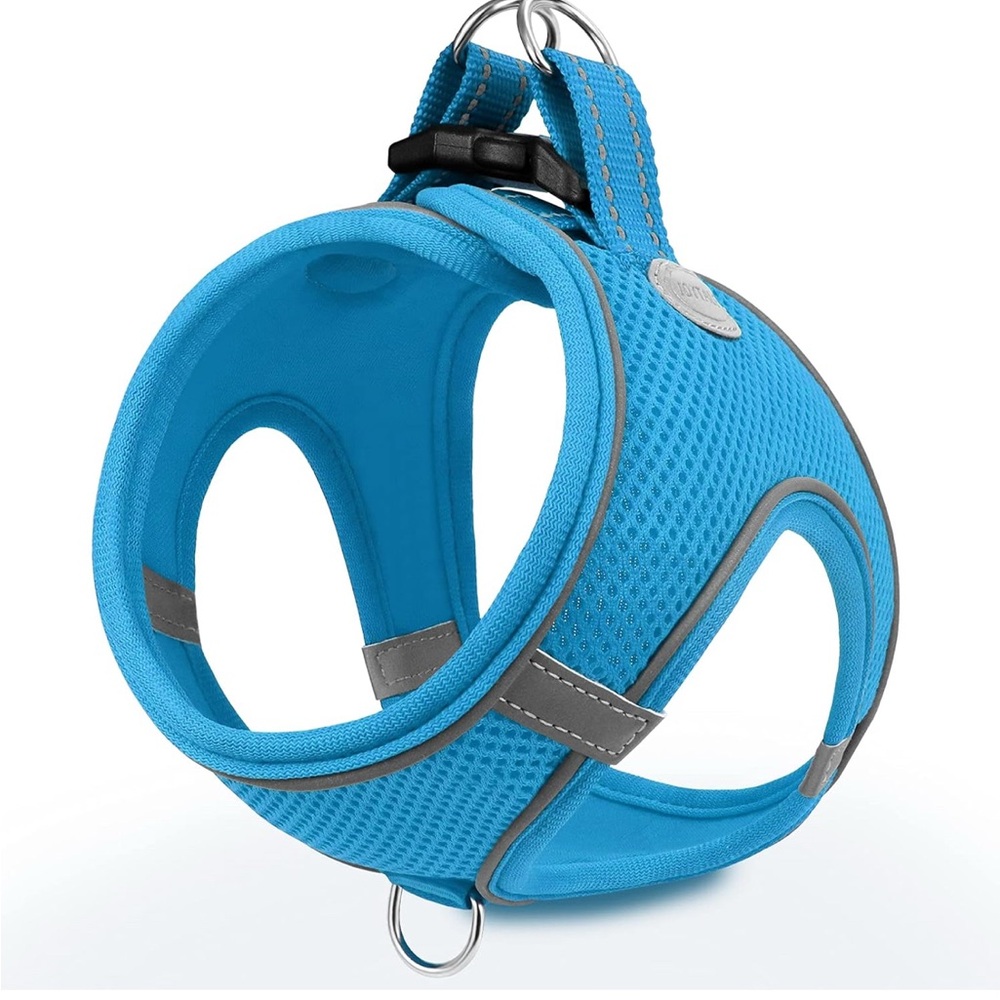 Blue Dog Harness